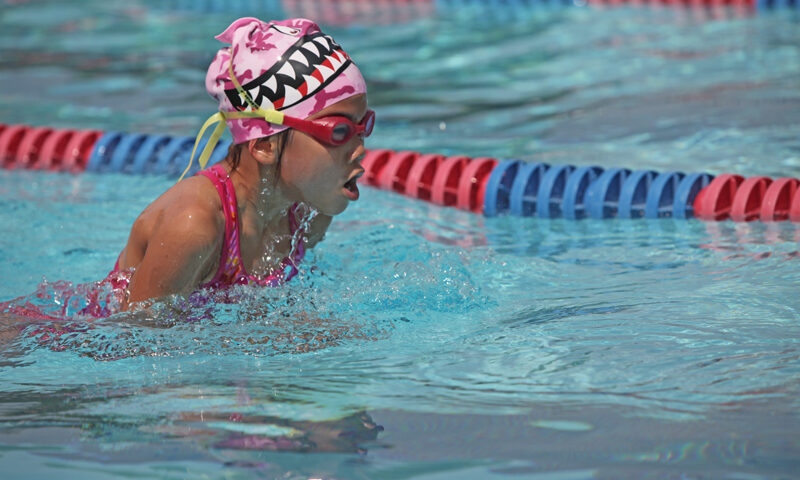 Cupa Bistriţei pentru cei mici